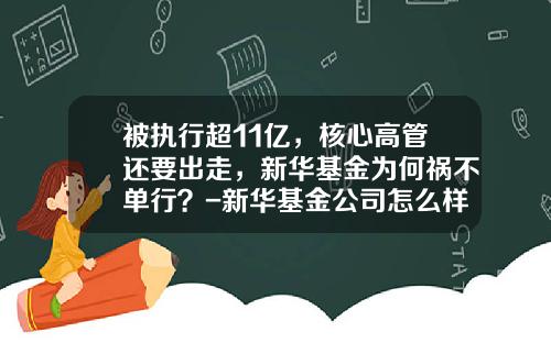 被执行超11亿，核心高管还要出走，新华基金为何祸不单行？-新华基金公司怎么样