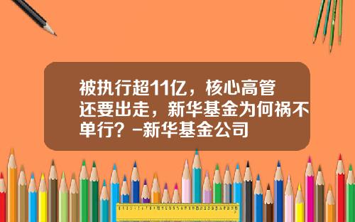 被执行超11亿，核心高管还要出走，新华基金为何祸不单行？-新华基金公司