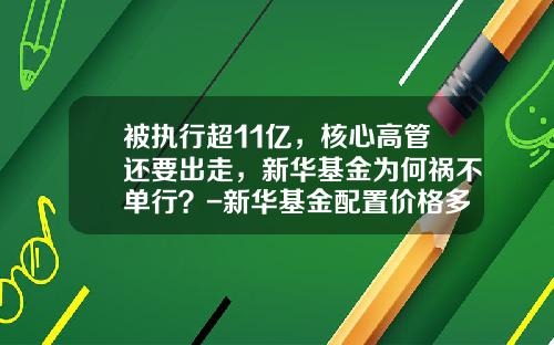 被执行超11亿，核心高管还要出走，新华基金为何祸不单行？-新华基金配置价格多少