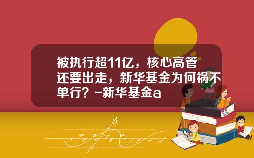 被执行超11亿，核心高管还要出走，新华基金为何祸不单行？-新华基金a
