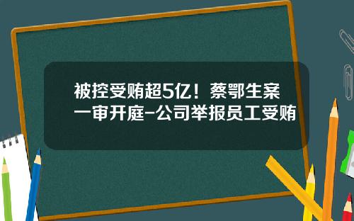 被控受贿超5亿！蔡鄂生案一审开庭-公司举报员工受贿