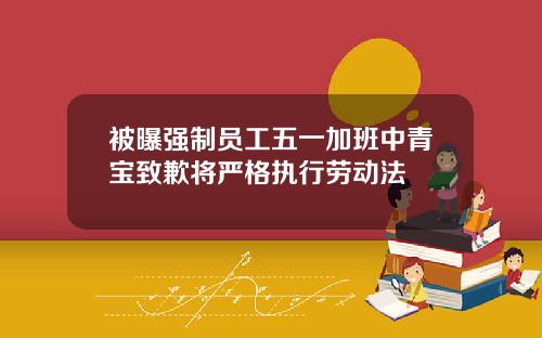 被曝强制员工五一加班中青宝致歉将严格执行劳动法