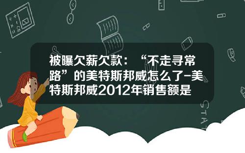 被曝欠薪欠款：“不走寻常路”的美特斯邦威怎么了-美特斯邦威2012年销售额是多少