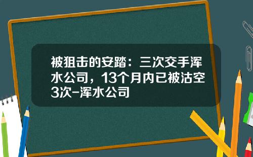 被狙击的安踏：三次交手浑水公司，13个月内已被沽空3次-浑水公司