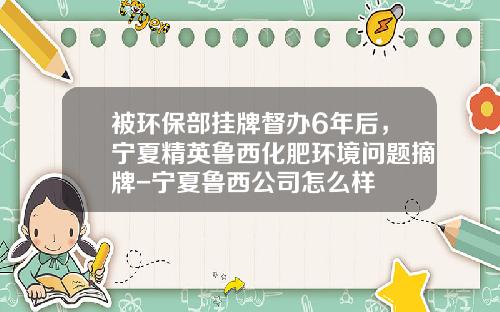被环保部挂牌督办6年后，宁夏精英鲁西化肥环境问题摘牌-宁夏鲁西公司怎么样