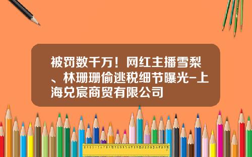 被罚数千万！网红主播雪梨、林珊珊偷逃税细节曝光-上海兑宸商贸有限公司