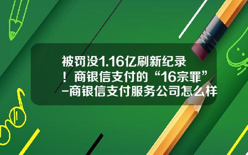 被罚没1.16亿刷新纪录！商银信支付的“16宗罪”-商银信支付服务公司怎么样