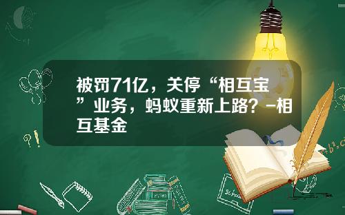 被罚71亿，关停“相互宝”业务，蚂蚁重新上路？-相互基金
