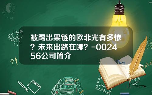 被踢出果链的欧菲光有多惨？未来出路在哪？-002456公司简介