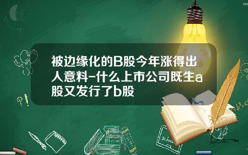 被边缘化的B股今年涨得出人意料-什么上市公司既生a股又发行了b股