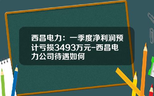 西昌电力：一季度净利润预计亏损3493万元-西昌电力公司待遇如何