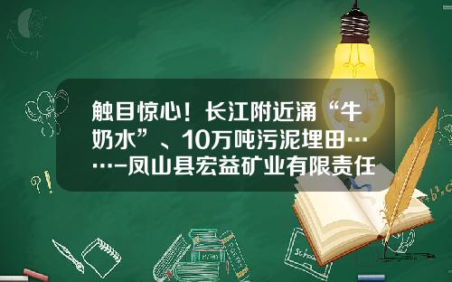 触目惊心！长江附近涌“牛奶水”、10万吨污泥埋田……-凤山县宏益矿业有限责任公司