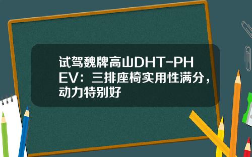 试驾魏牌高山DHT-PHEV：三排座椅实用性满分，动力特别好