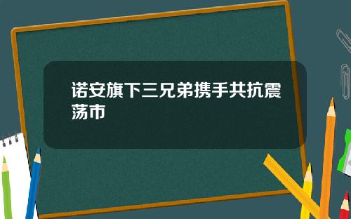 诺安旗下三兄弟携手共抗震荡市