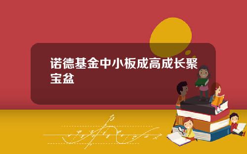 诺德基金中小板成高成长聚宝盆