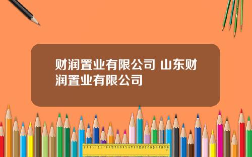 财润置业有限公司 山东财润置业有限公司