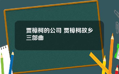 贾樟柯的公司 贾樟柯故乡三部曲