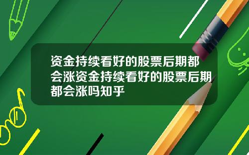资金持续看好的股票后期都会涨资金持续看好的股票后期都会涨吗知乎