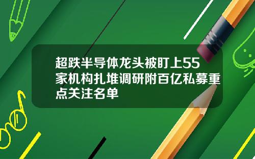 超跌半导体龙头被盯上55家机构扎堆调研附百亿私募重点关注名单