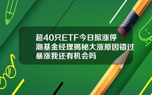 超40只ETF今日掀涨停潮基金经理揭秘大涨原因错过暴涨我还有机会吗
