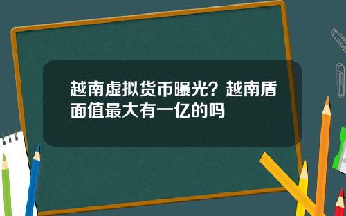 越南虚拟货币曝光?越南盾面值最大有一亿的吗