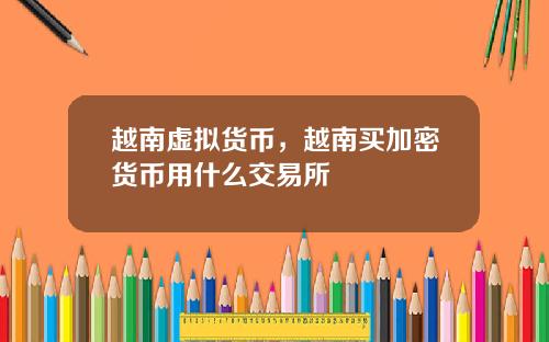 越南虚拟货币,越南买加密货币用什么交易所