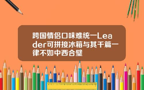 跨国情侣口味难统一Leader可拼接冰箱与其千篇一律不如中西合璧