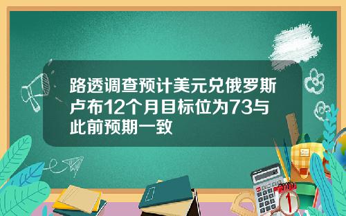 路透调查预计美元兑俄罗斯卢布12个月目标位为73与此前预期一致