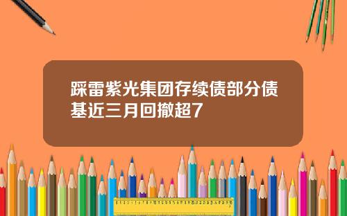 踩雷紫光集团存续债部分债基近三月回撤超7