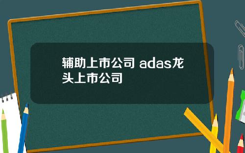 辅助上市公司 adas龙头上市公司