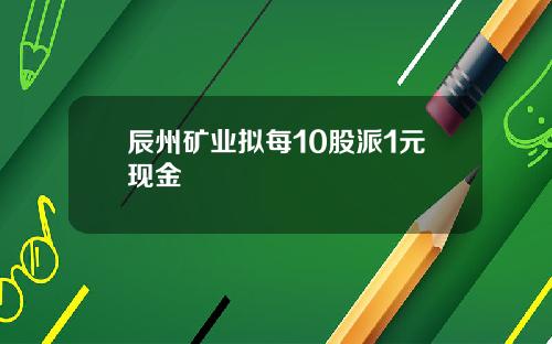 辰州矿业拟每10股派1元现金