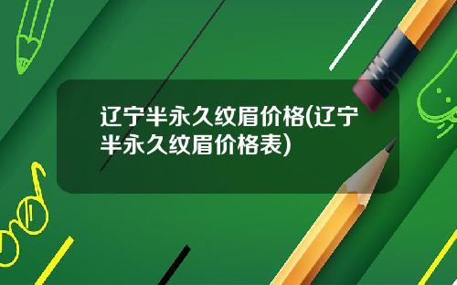 辽宁半永久纹眉价格(辽宁半永久纹眉价格表)
