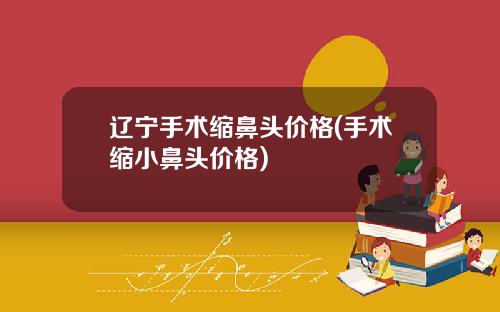 辽宁手术缩鼻头价格(手术缩小鼻头价格)