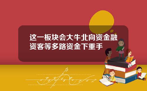 这一板块会大牛北向资金融资客等多路资金下重手