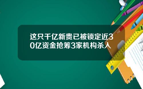 这只千亿新贵已被锁定近30亿资金抢筹3家机构杀入