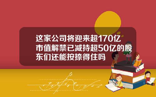 这家公司将迎来超170亿市值解禁已减持超50亿的股东们还能按捺得住吗
