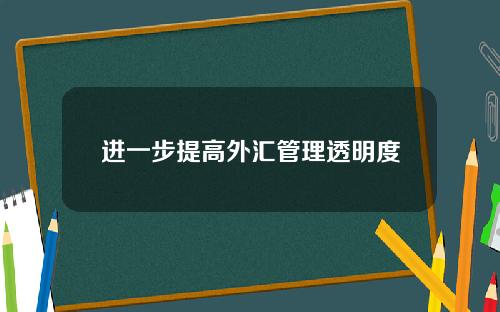 进一步提高外汇管理透明度