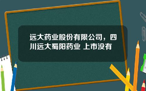 远大药业股份有限公司,四川远大蜀阳药业 上市没有