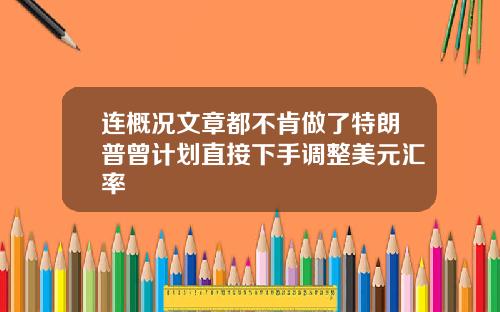 连概况文章都不肯做了特朗普曾计划直接下手调整美元汇率