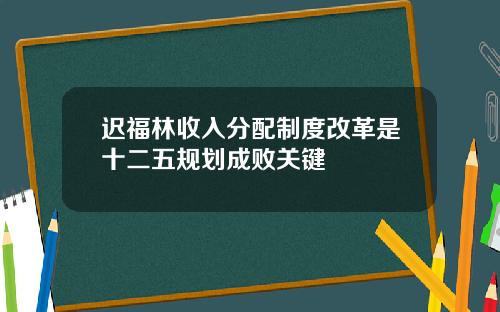 迟福林收入分配制度改革是十二五规划成败关键