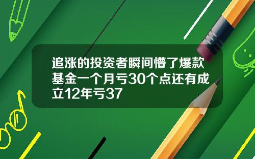 追涨的投资者瞬间懵了爆款基金一个月亏30个点还有成立12年亏37