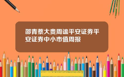 邵青蔡大贵周谧平安证券平安证券中小市值周报