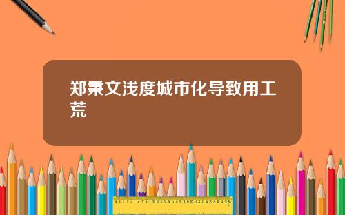 郑秉文浅度城市化导致用工荒