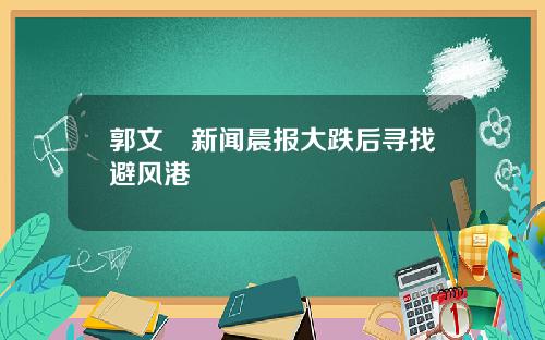 郭文珺新闻晨报大跌后寻找避风港
