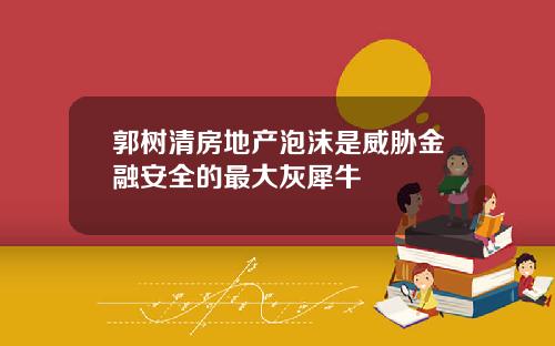 郭树清房地产泡沫是威胁金融安全的最大灰犀牛