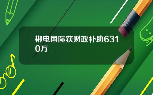 郴电国际获财政补助6310万