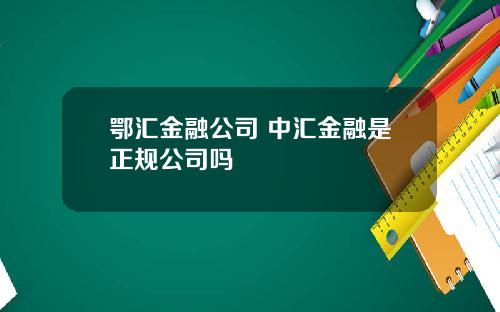 鄂汇金融公司 中汇金融是正规公司吗