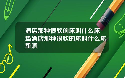 酒店那种很软的床叫什么床垫酒店那种很软的床叫什么床垫啊