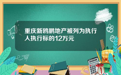 重庆新鸥鹏地产被列为执行人执行标的12万元