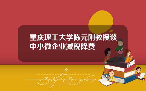 重庆理工大学陈元刚教授谈中小微企业减税降费